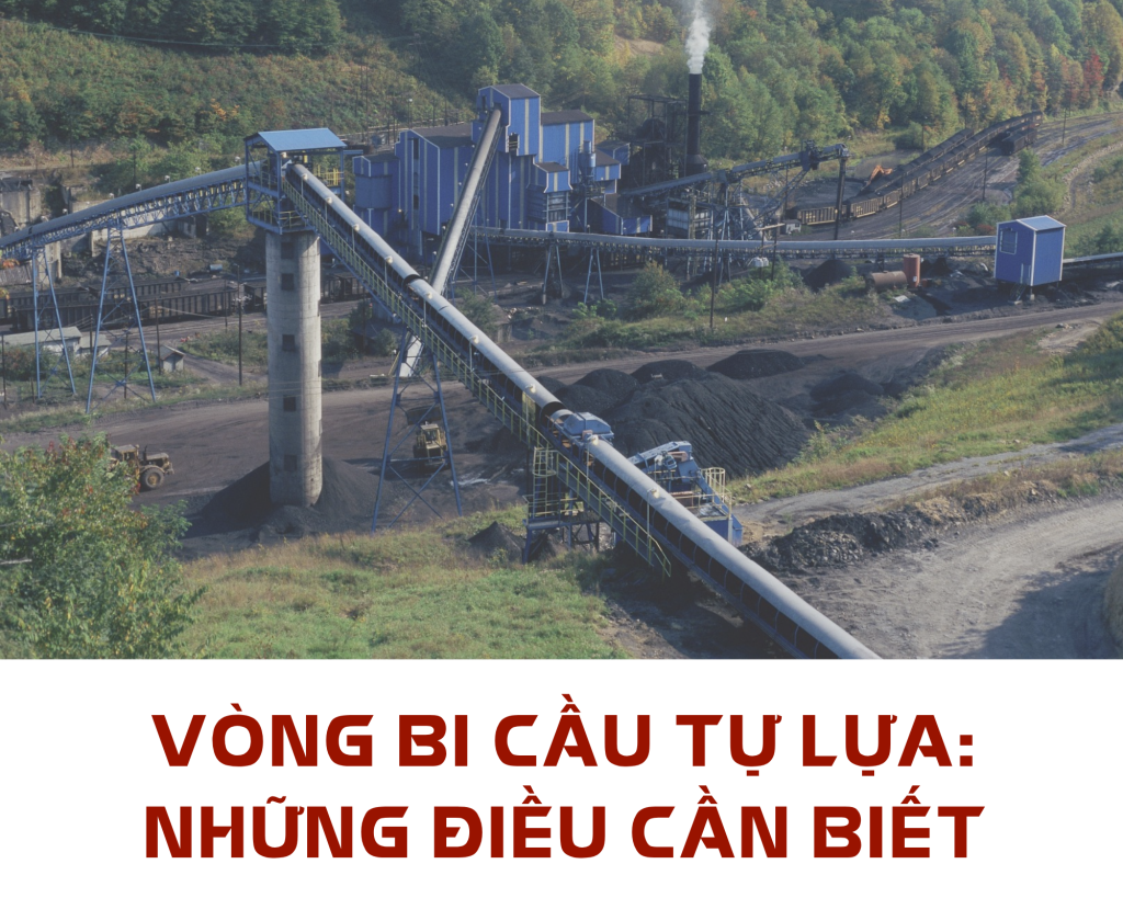 VÒNG BI CẦU TỰ LỰA: NHỮNG ĐIỀU CẦN BIẾT